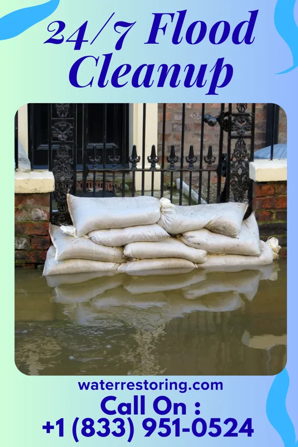 24/7 Flood Cleanup in Lizton, IN