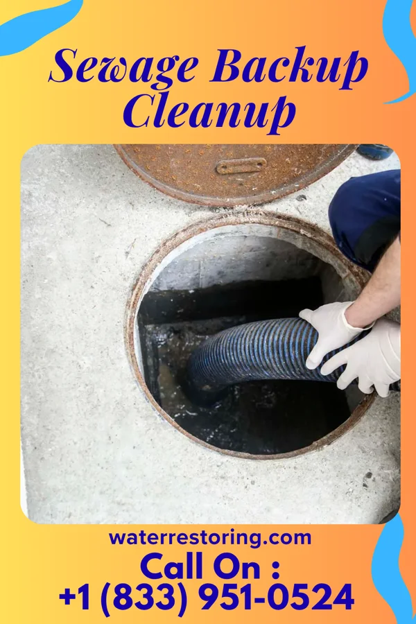 Sewage Backup Cleanup in Lizton, IN